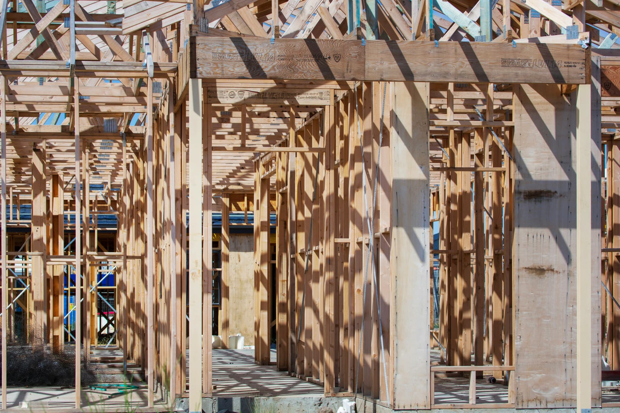 Sunlight through the timber framing of a building under construction